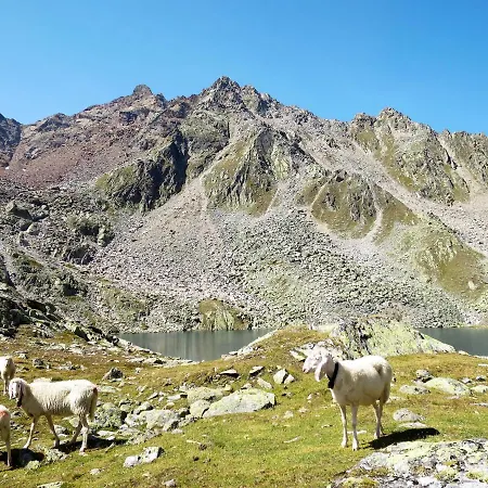 Appartement Diamant By Interhome *