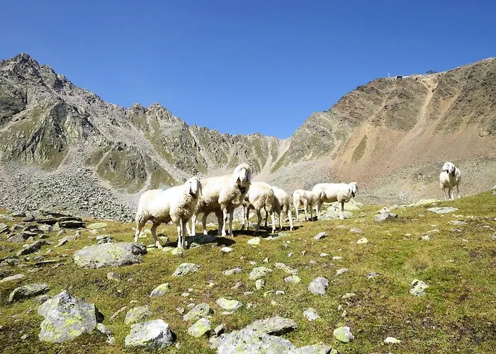 Lejlighed Diamant By Interhome